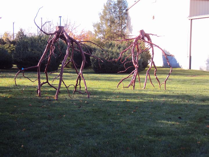 Sculptures 032.JPG